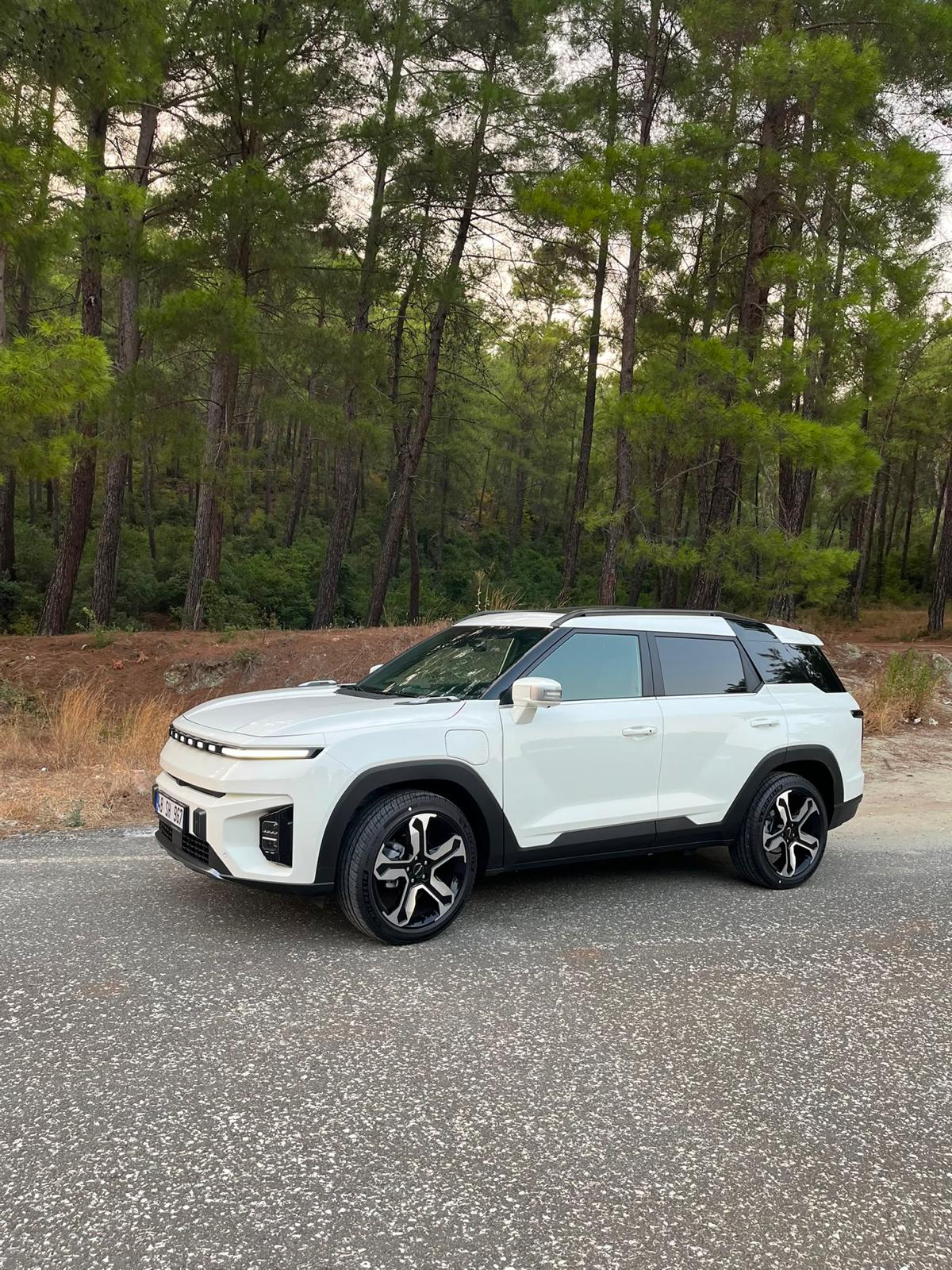 VIP Executive SUV Option